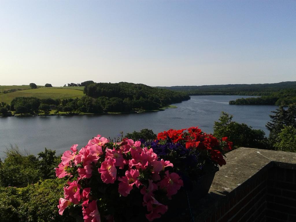 Terrassen Camping & Cottages Silkeborg Kültér fotó